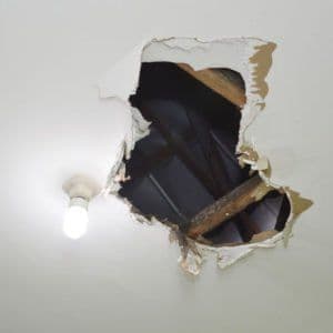 66. Pete Nicoletti Traces Dorks at Cybraics