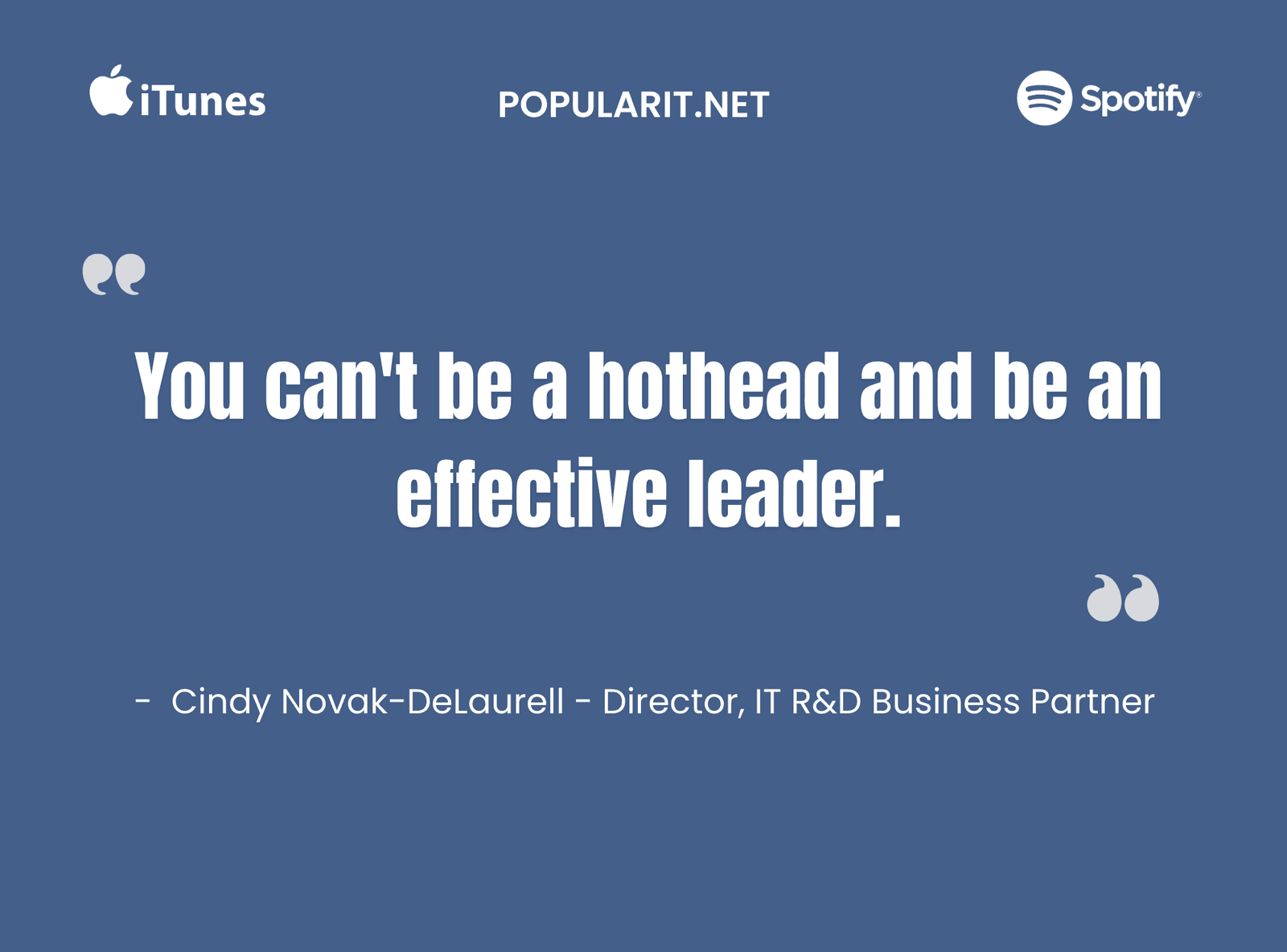 357- IT Budget Hell by Cindy Novak – DeLaurell