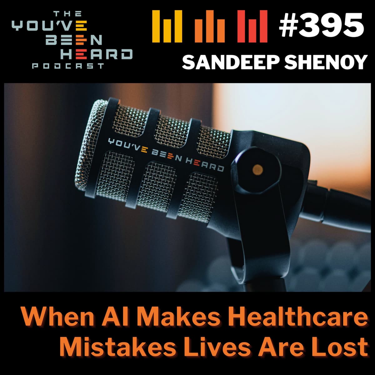 395- When AI Makes Healthcare Mistakes Lives Are Lost w/Sandeep Shenoy - You've Been Heard Episode 395