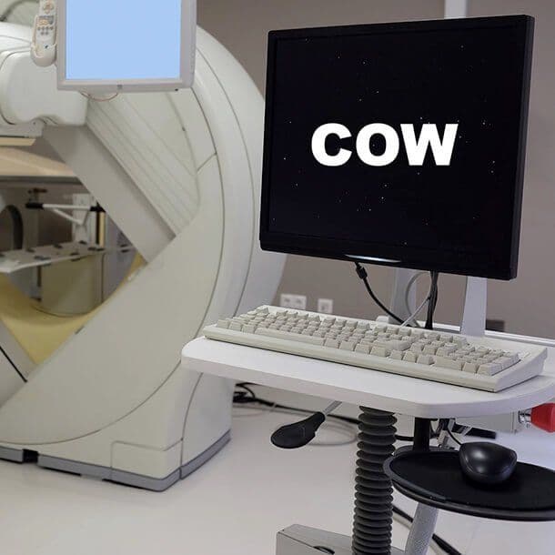 117. Making friends with IT people gets you into IT